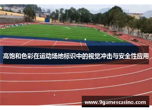 高饱和色彩在运动场地标识中的视觉冲击与安全性应用